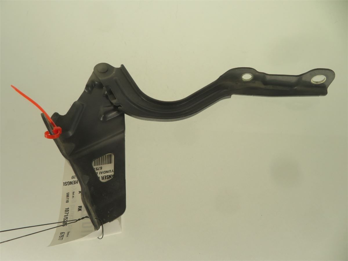 Panser Hengsel / Hengsler – bilde 3