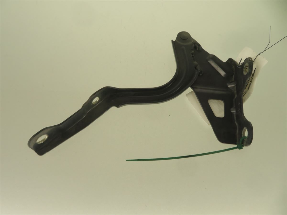 Panser Hengsel / Hengsler – bilde 1