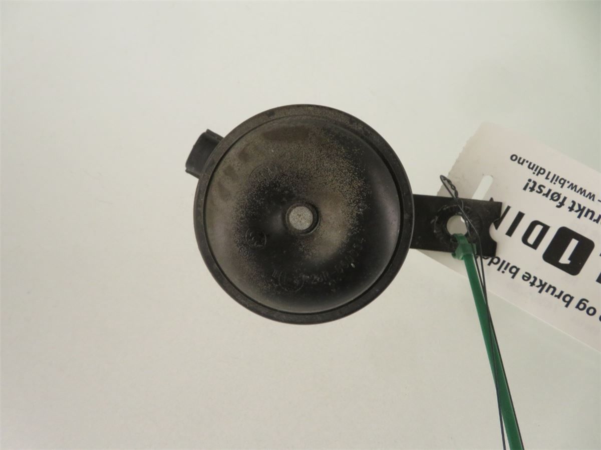 Signalhorn – bilde 1