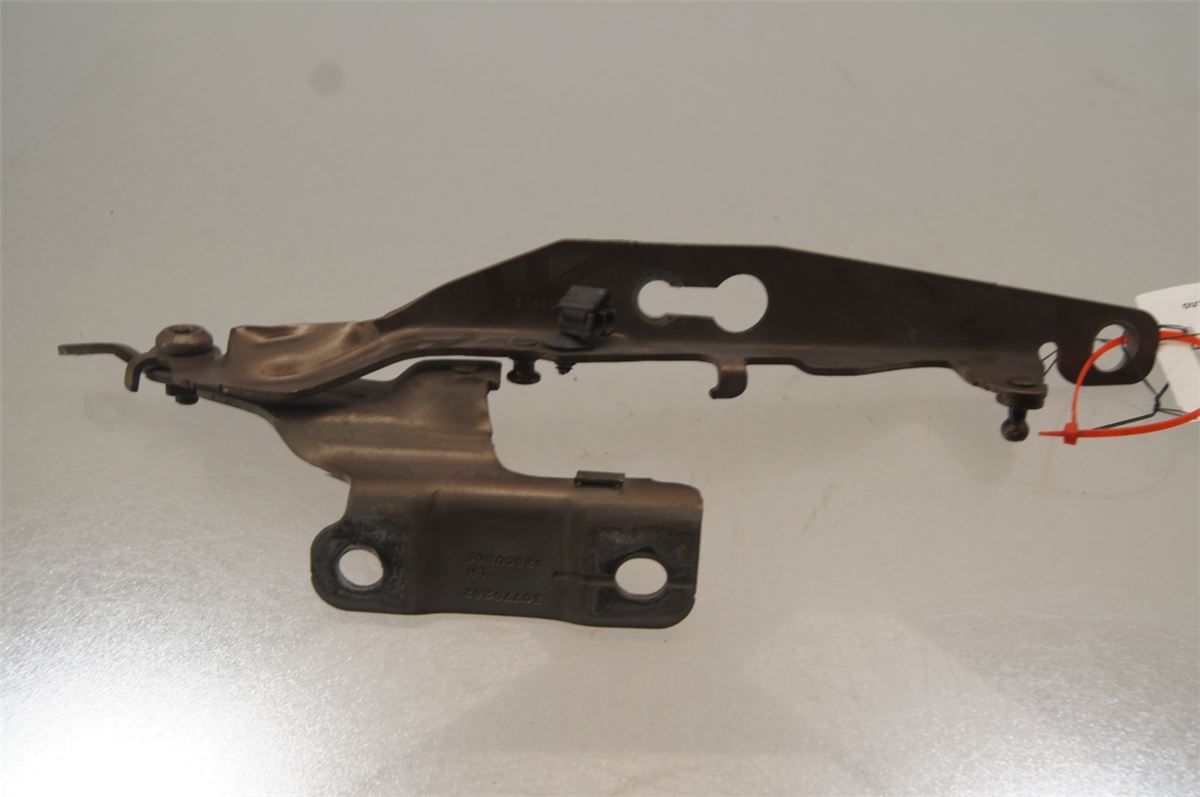 Panser Hengsel / Hengsler – bilde 2