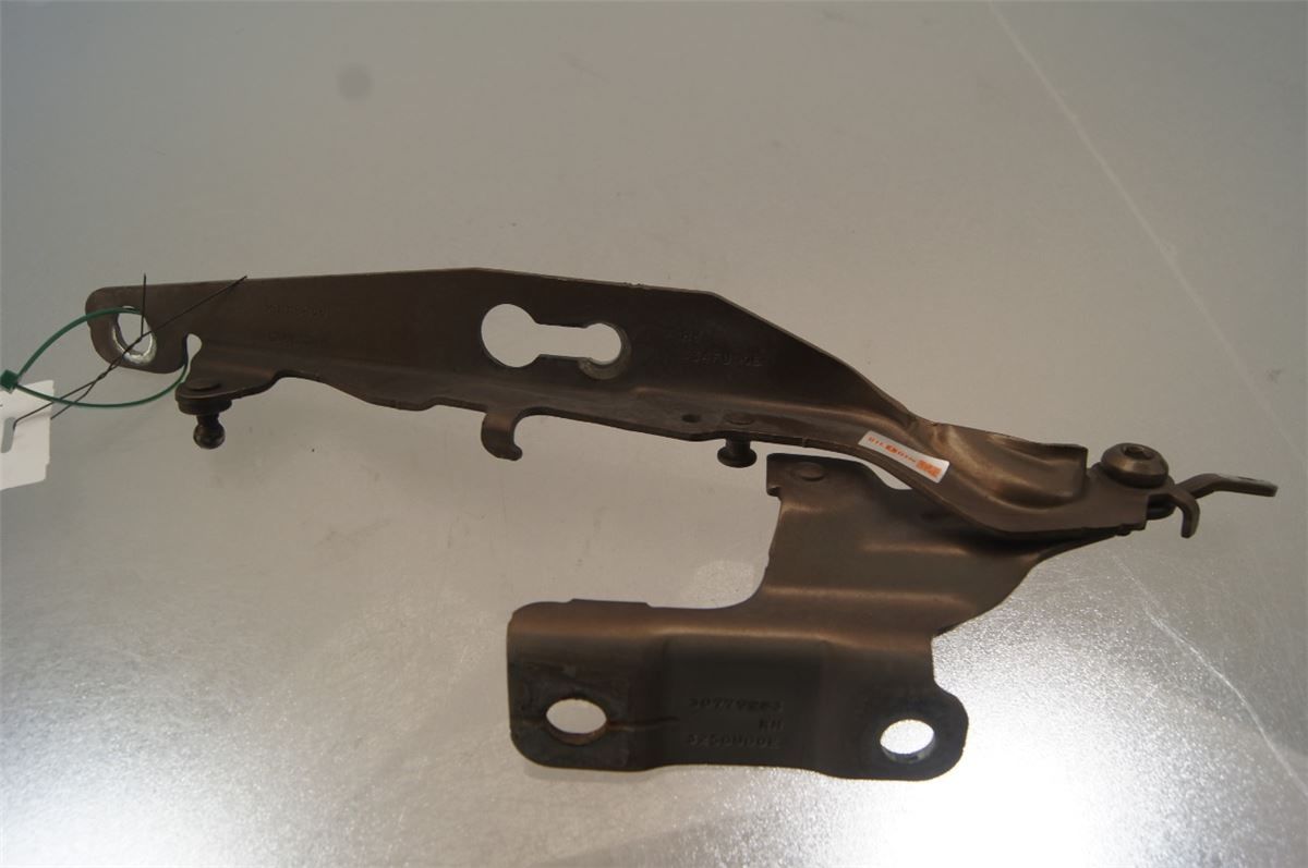 Panser Hengsel / Hengsler – bilde 1