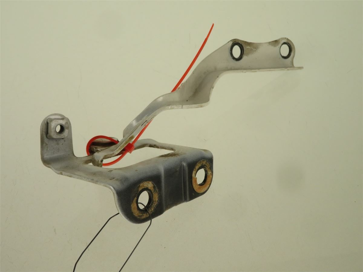 Panser Hengsel / Hengsler – bilde 1