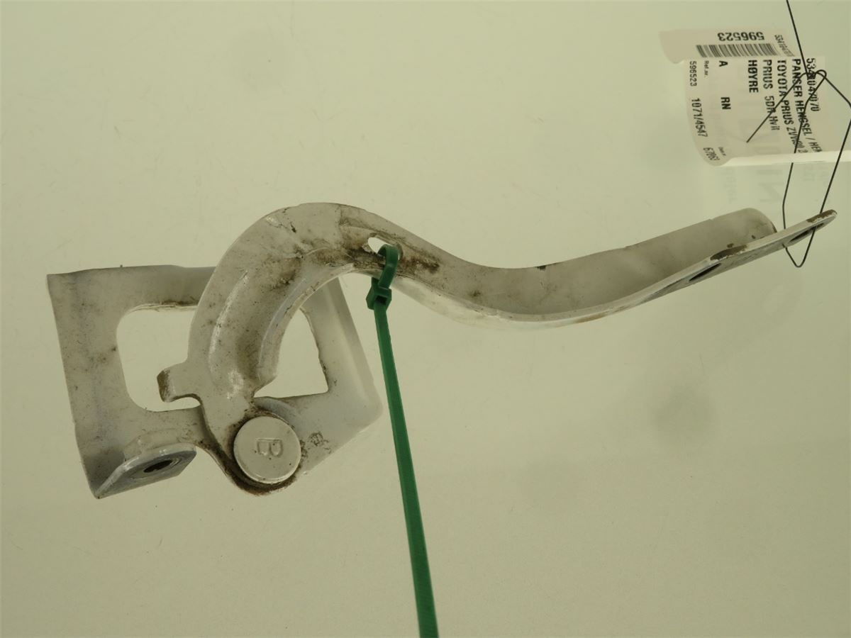 Panser Hengsel / Hengsler – bilde 1