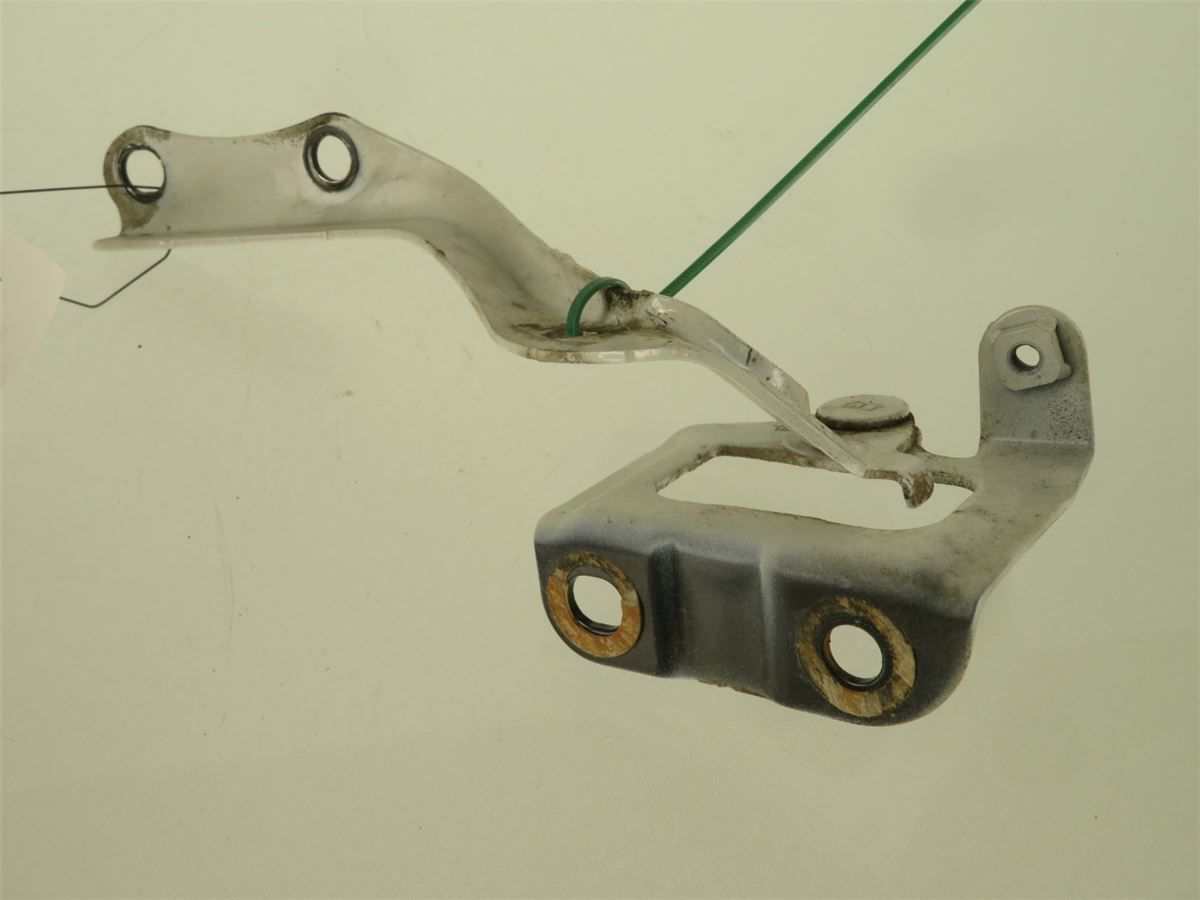 Panser Hengsel / Hengsler – bilde 2