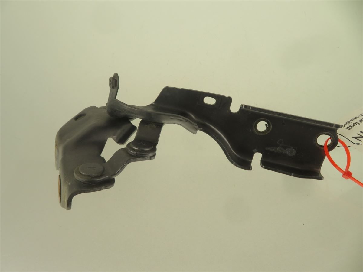 Panser Hengsel / Hengsler – bilde 1