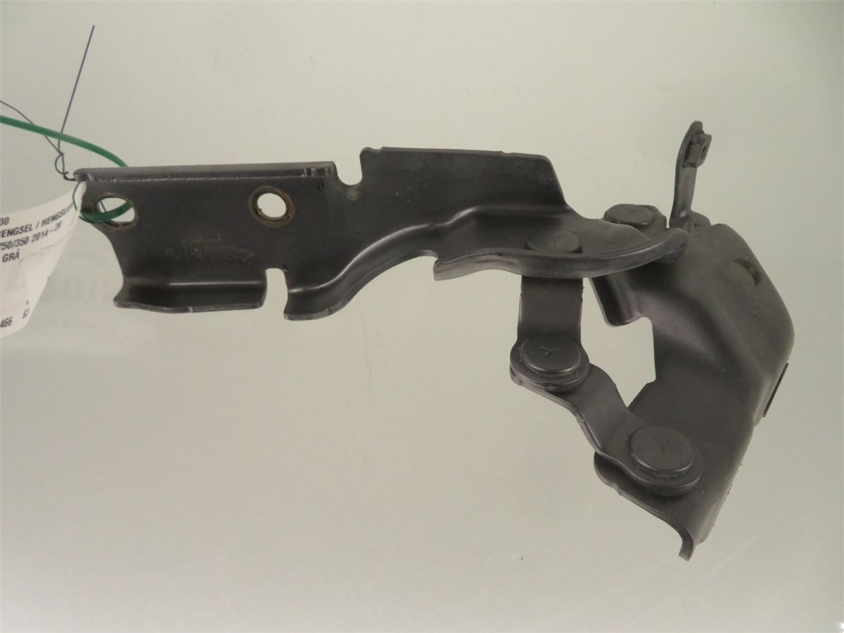 Panser Hengsel / Hengsler – bilde 1