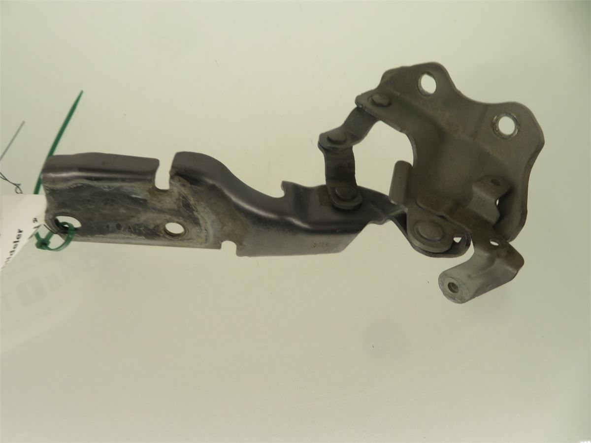 Panser Hengsel / Hengsler – bilde 2