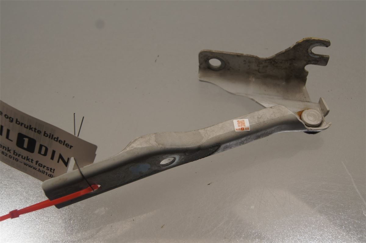 Panser Hengsel / Hengsler – bilde 1