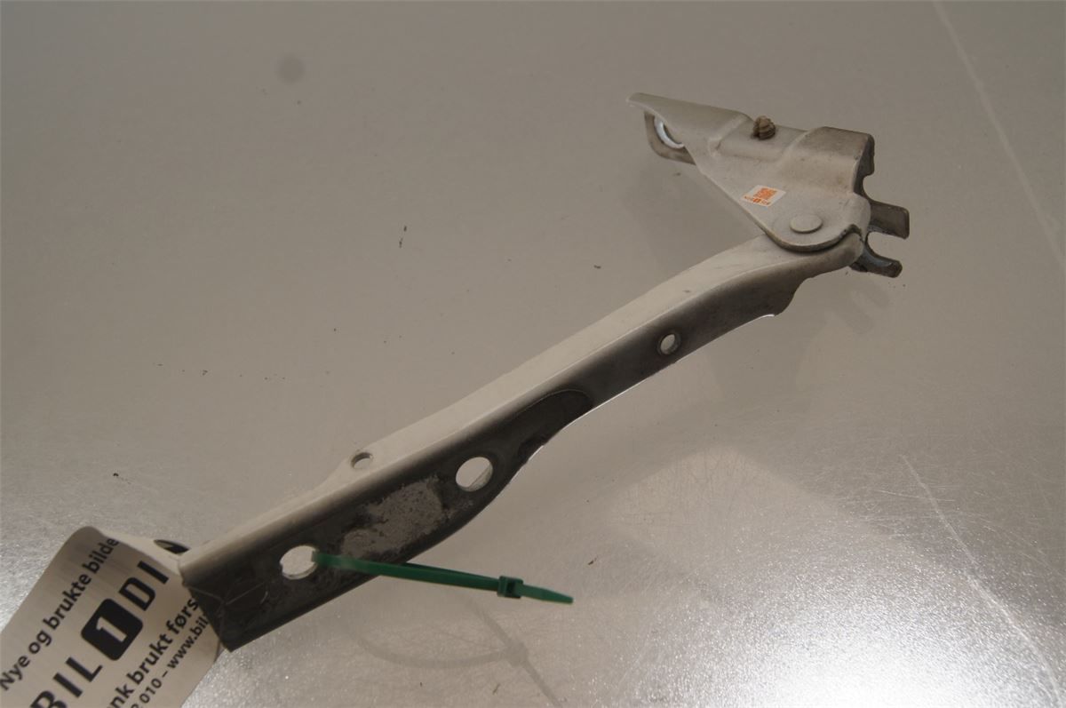 Panser Hengsel / Hengsler – bilde 1