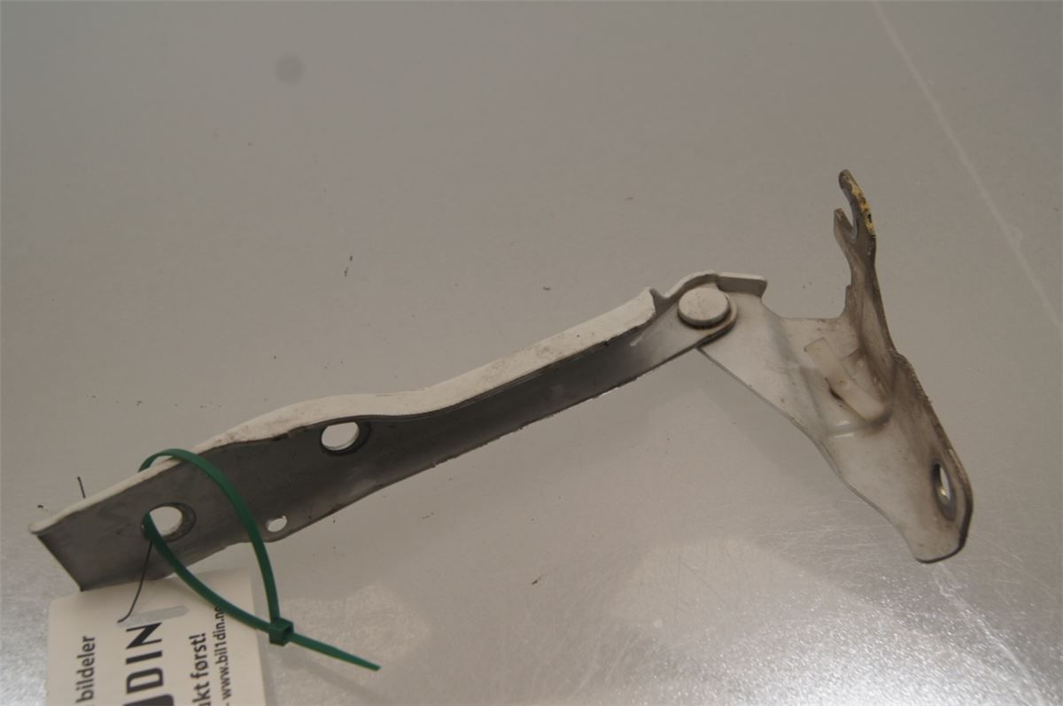 Panser Hengsel / Hengsler – bilde 2