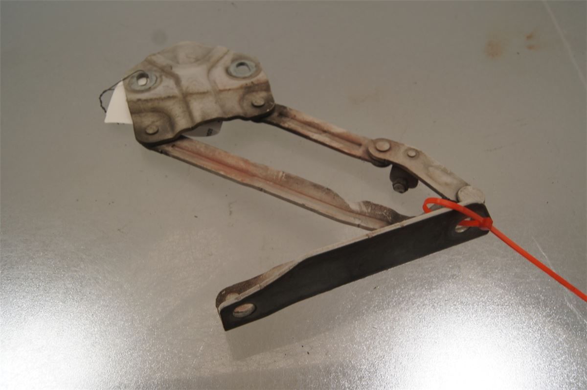 Panser Hengsel / Hengsler – bilde 2