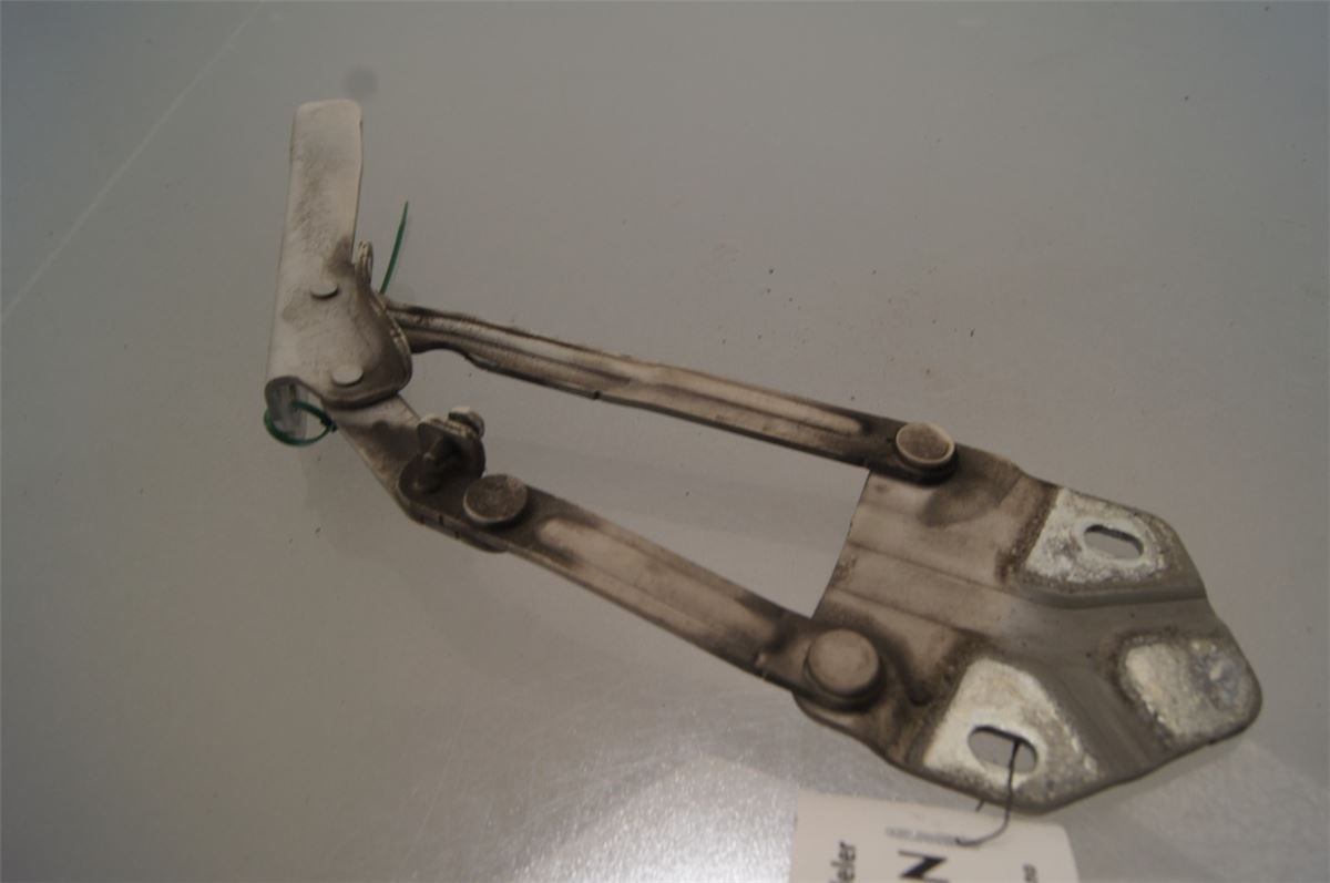 Panser Hengsel / Hengsler – bilde 1