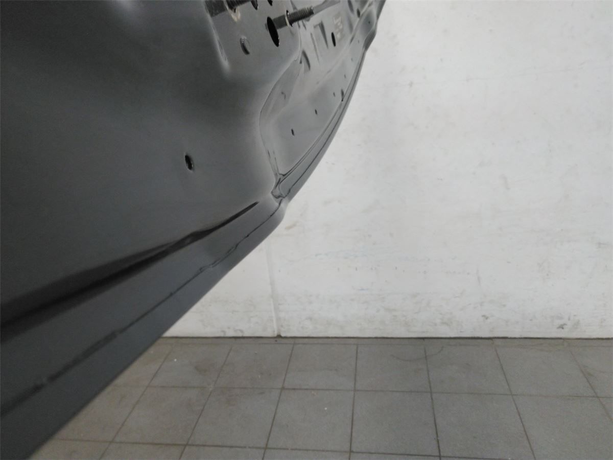Panser – bilde 2