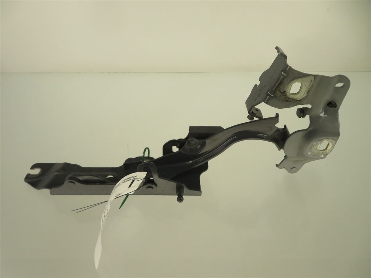 Panser Hengsel / Hengsler – bilde 1