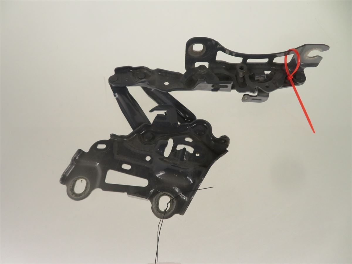 Panser Hengsel / Hengsler – bilde 1