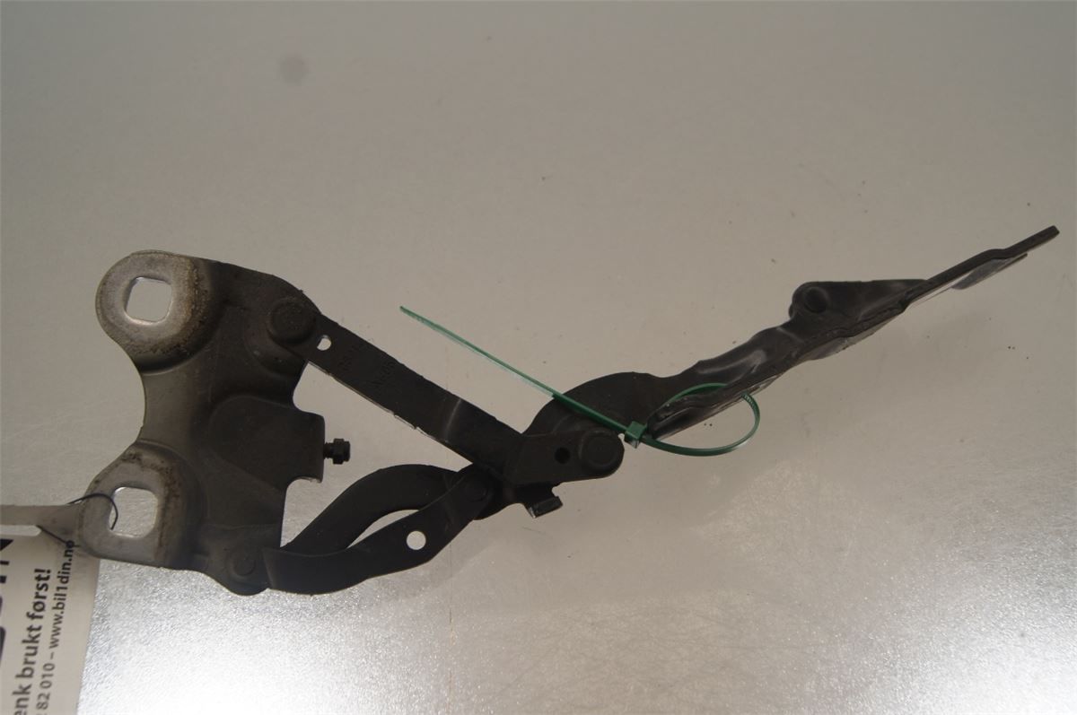Panser Hengsel / Hengsler – bilde 1