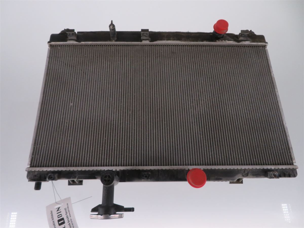 Radiator Manuell – bilde 1