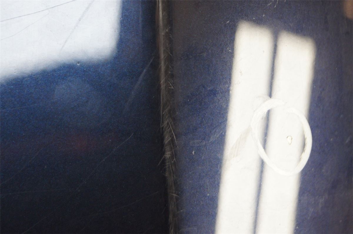 Panser – bilde 5
