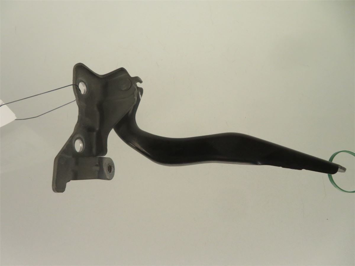 Panser Hengsel / Hengsler – bilde 2