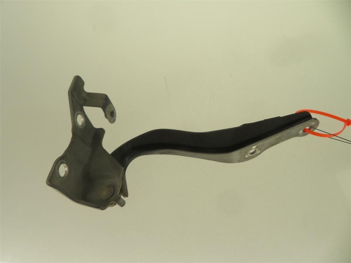 Panser Hengsel / Hengsler – bilde 1