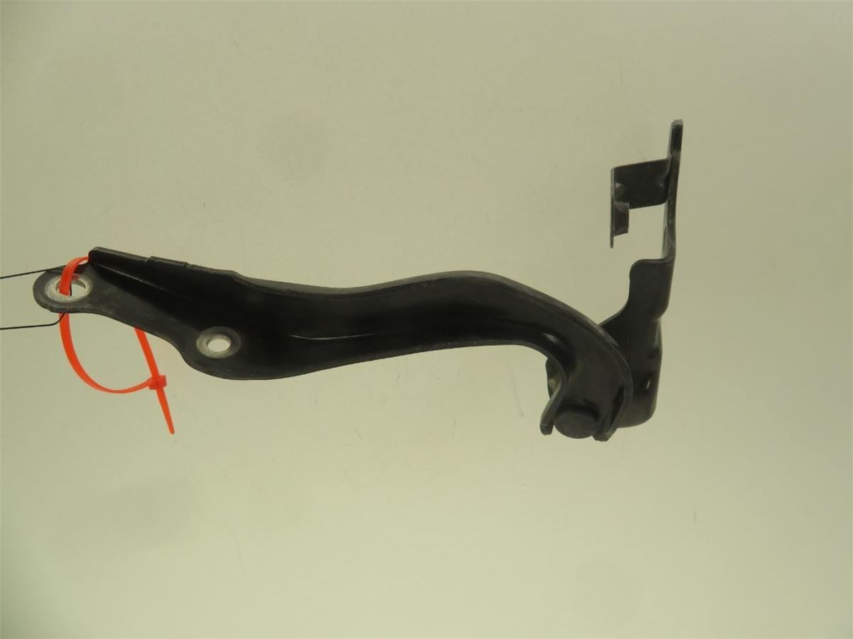 Panser Hengsel / Hengsler – bilde 2
