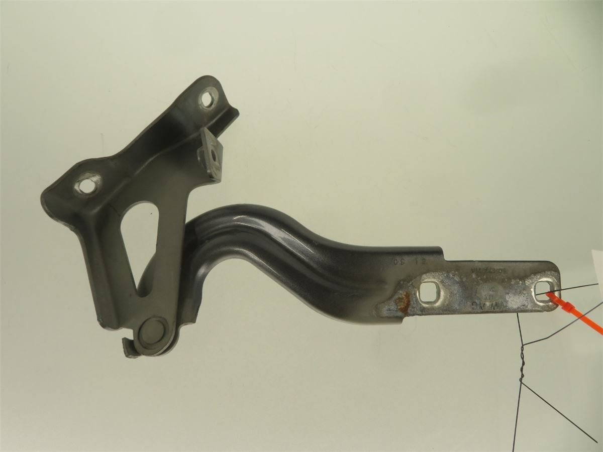 Panser Hengsel / Hengsler – bilde 1