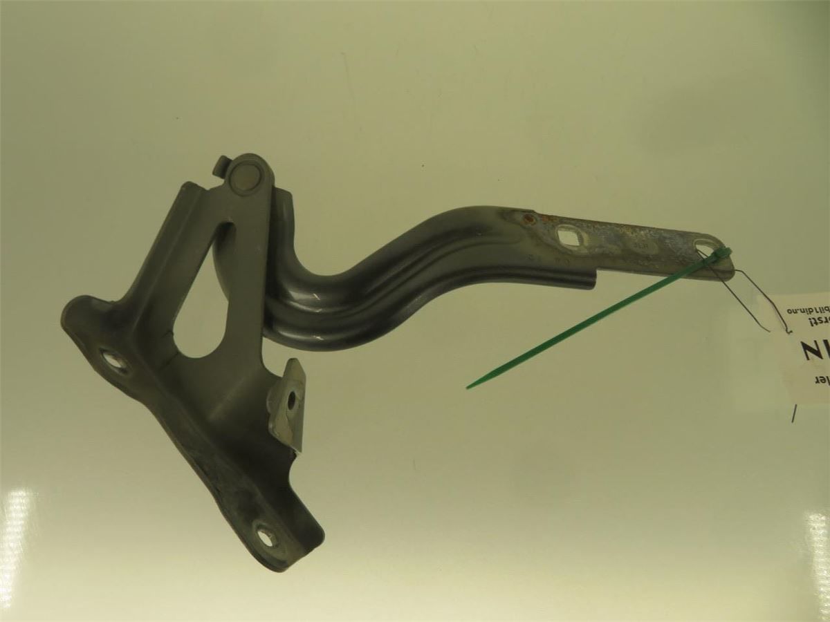 Panser Hengsel / Hengsler – bilde 1
