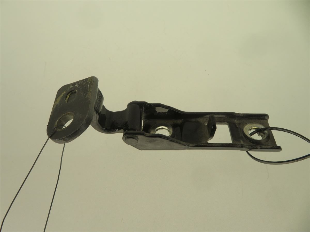 Panser Hengsel / Hengsler – bilde 1