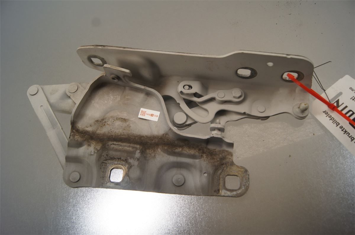 Panser Hengsel / Hengsler – bilde 1