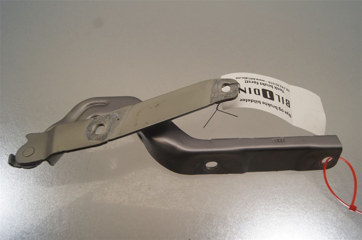 Panser Hengsel / Hengsler – bilde 1
