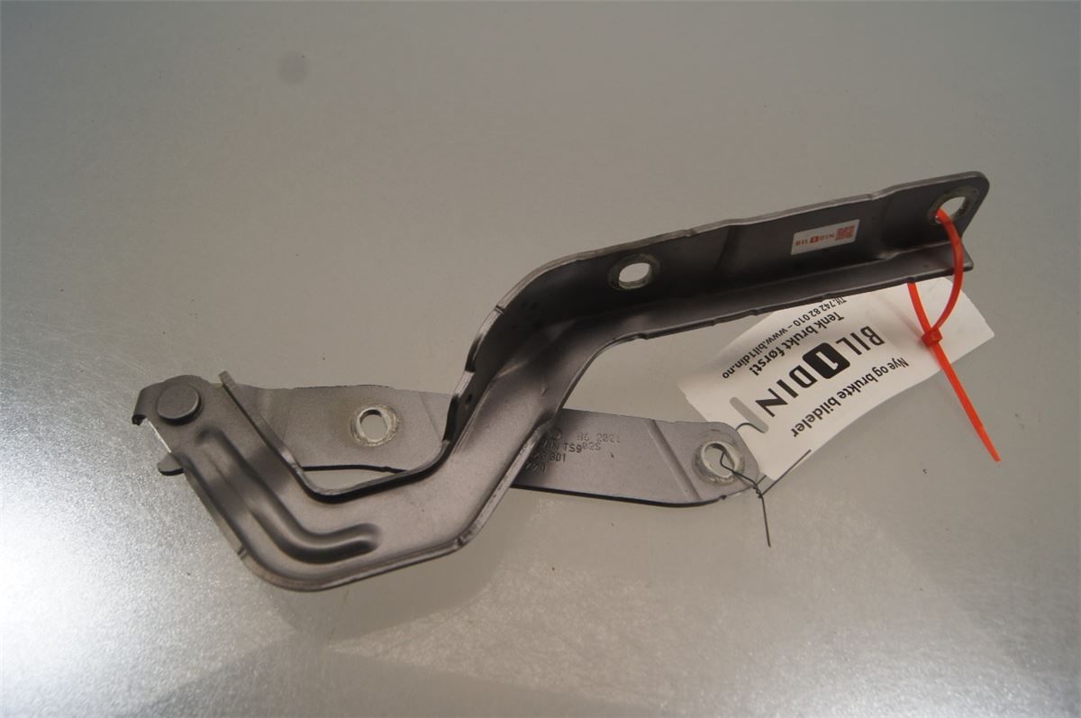 Panser Hengsel / Hengsler – bilde 2