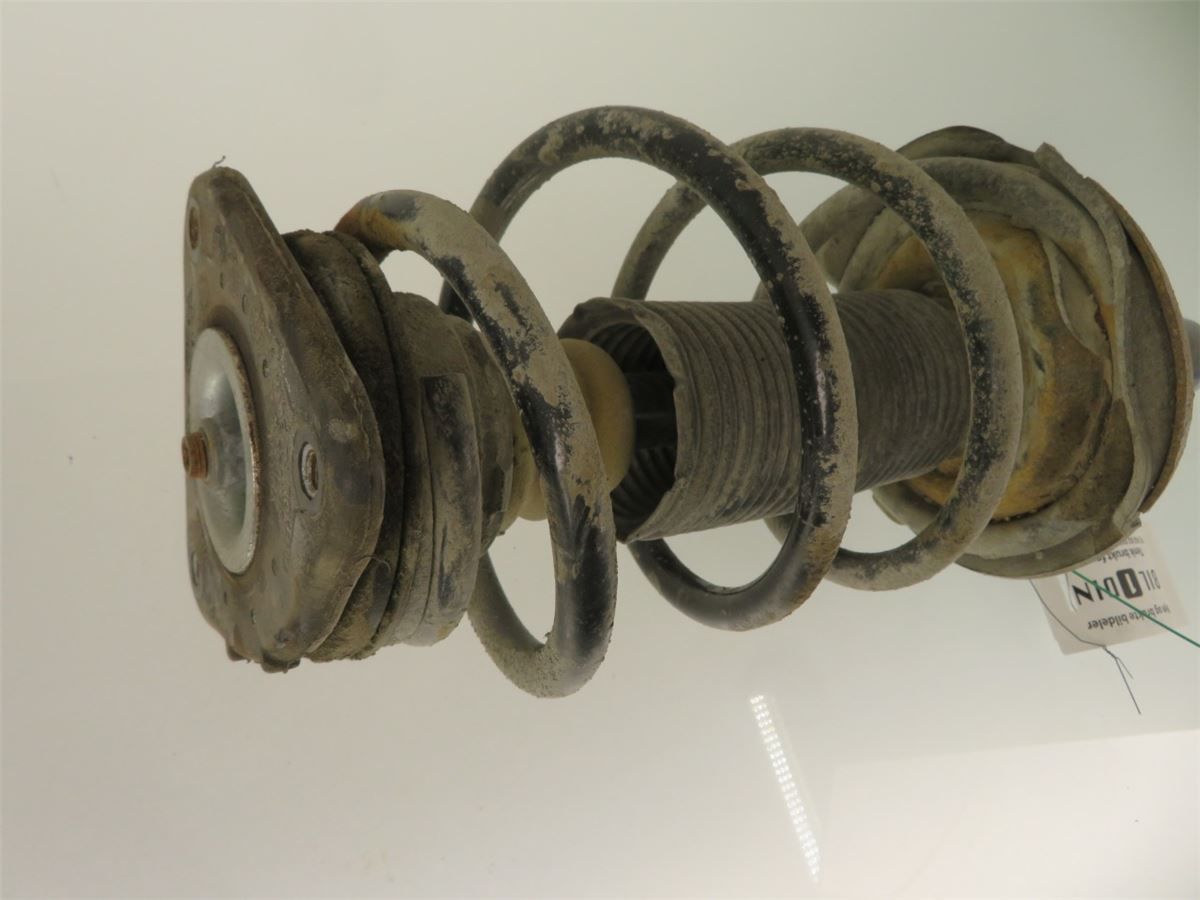 Fjærbein Foran Høyre – bilde 3