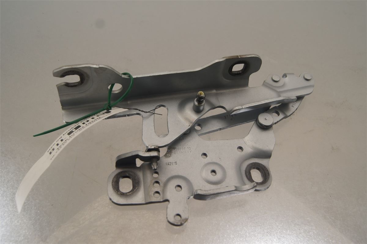 Panser Hengsel / Hengsler – bilde 1