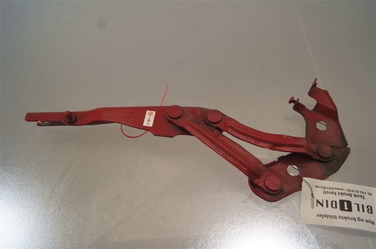 Panser Hengsel / Hengsler – bilde 1