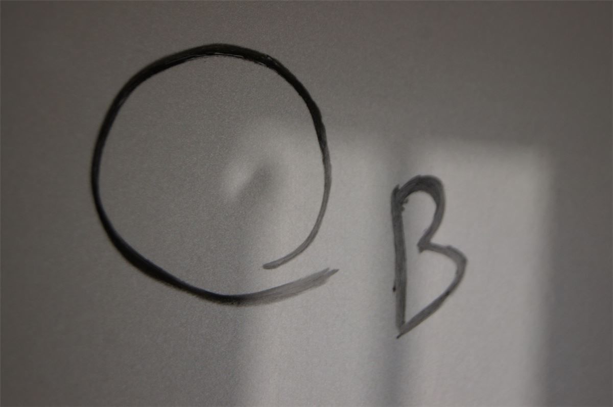 Panser – bilde 3
