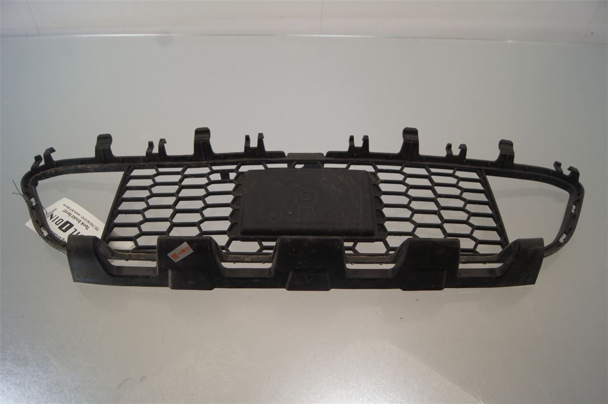 Grill / Gitter – bilde 1