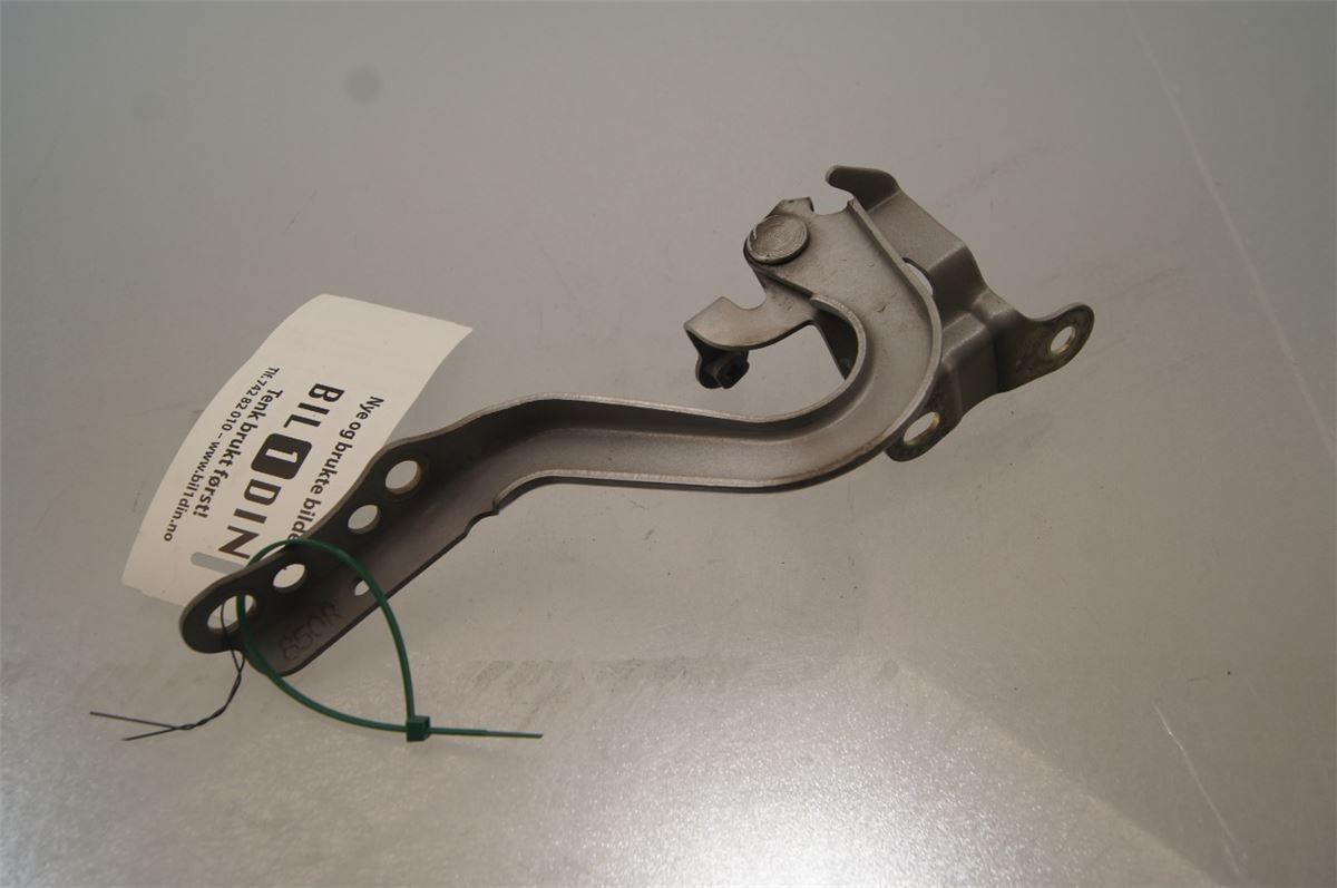Panser Hengsel / Hengsler – bilde 1