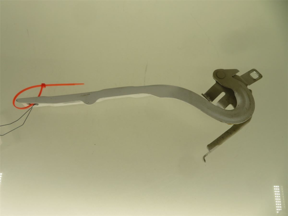 Panser Hengsel / Hengsler – bilde 1