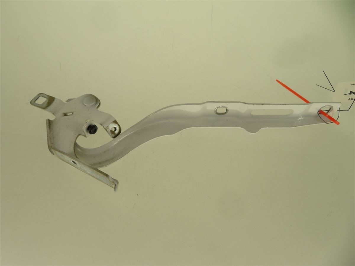 Panser Hengsel / Hengsler – bilde 3