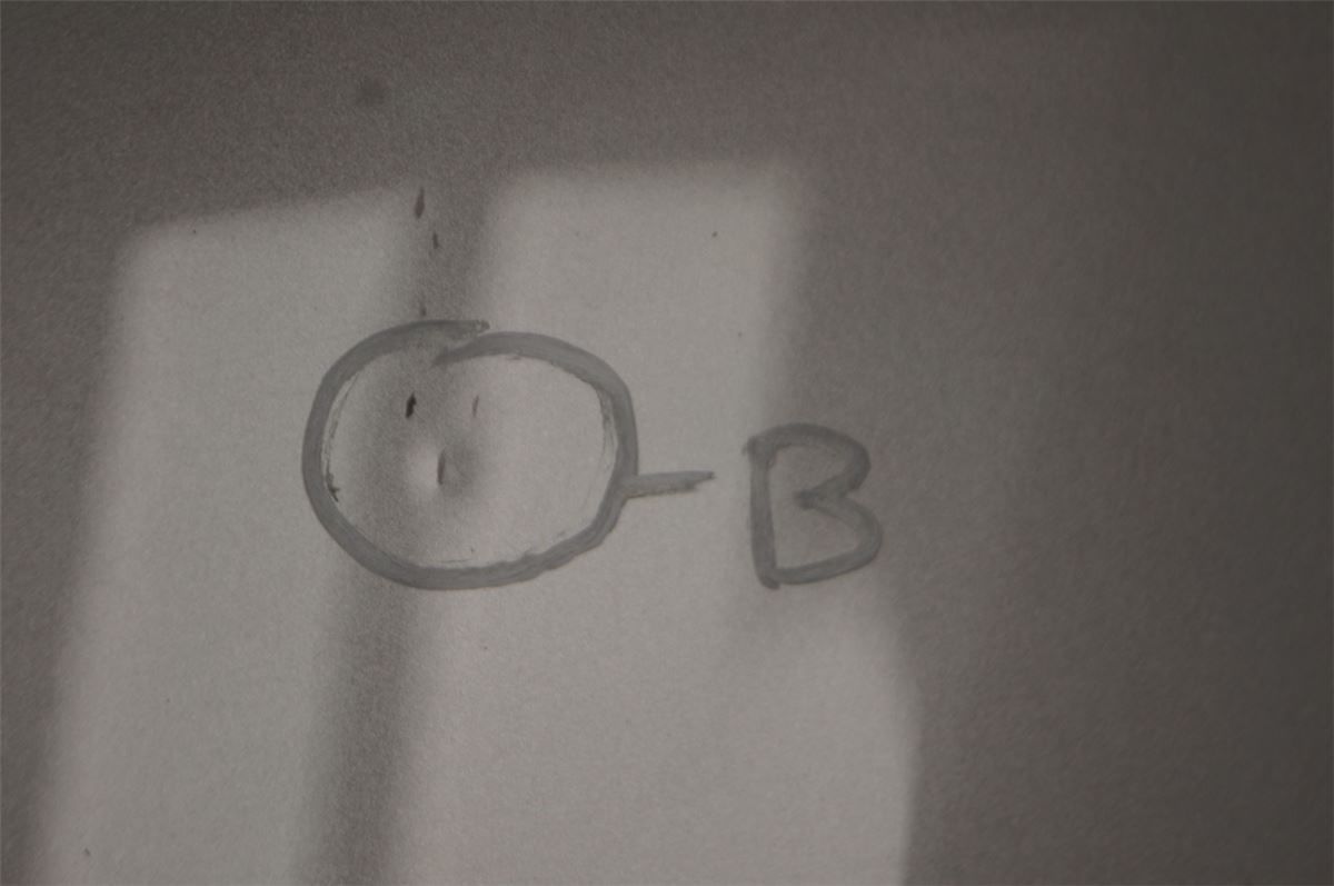 Panser – bilde 2