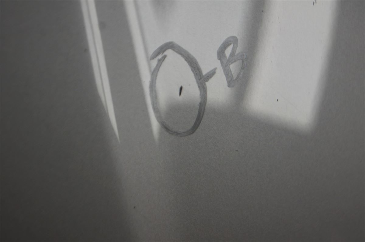 Panser – bilde 4