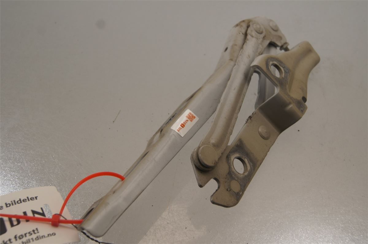 Panser Hengsel / Hengsler – bilde 1