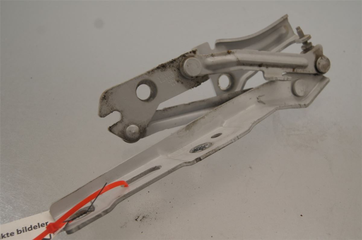 Panser Hengsel / Hengsler – bilde 2