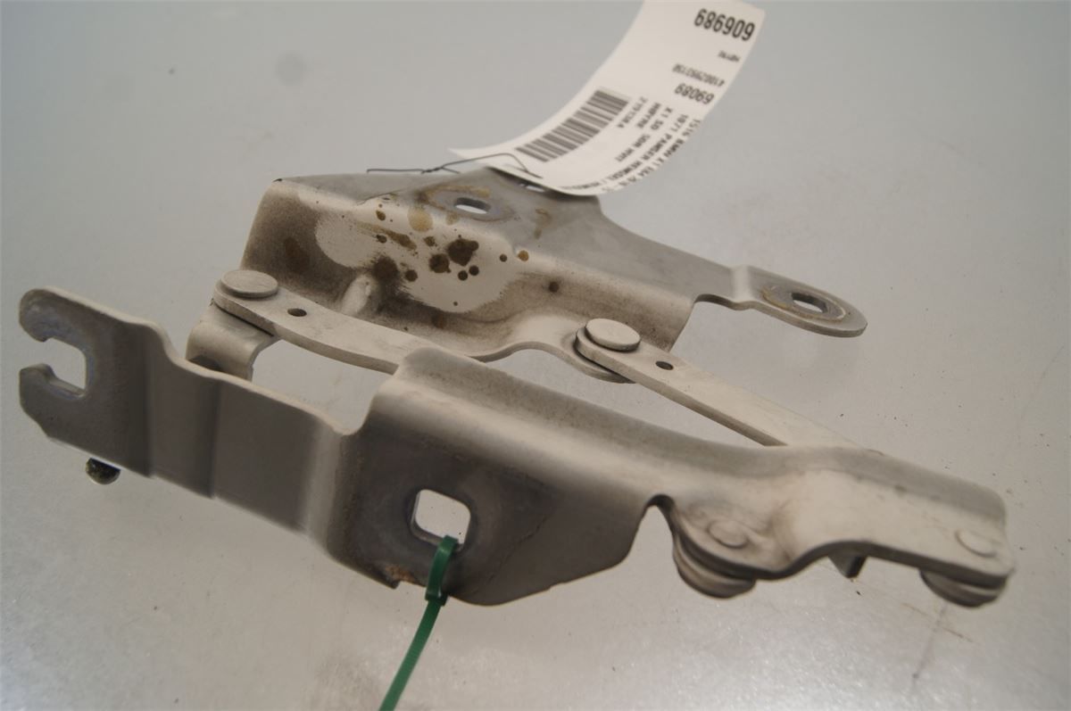 Panser Hengsel / Hengsler – bilde 2