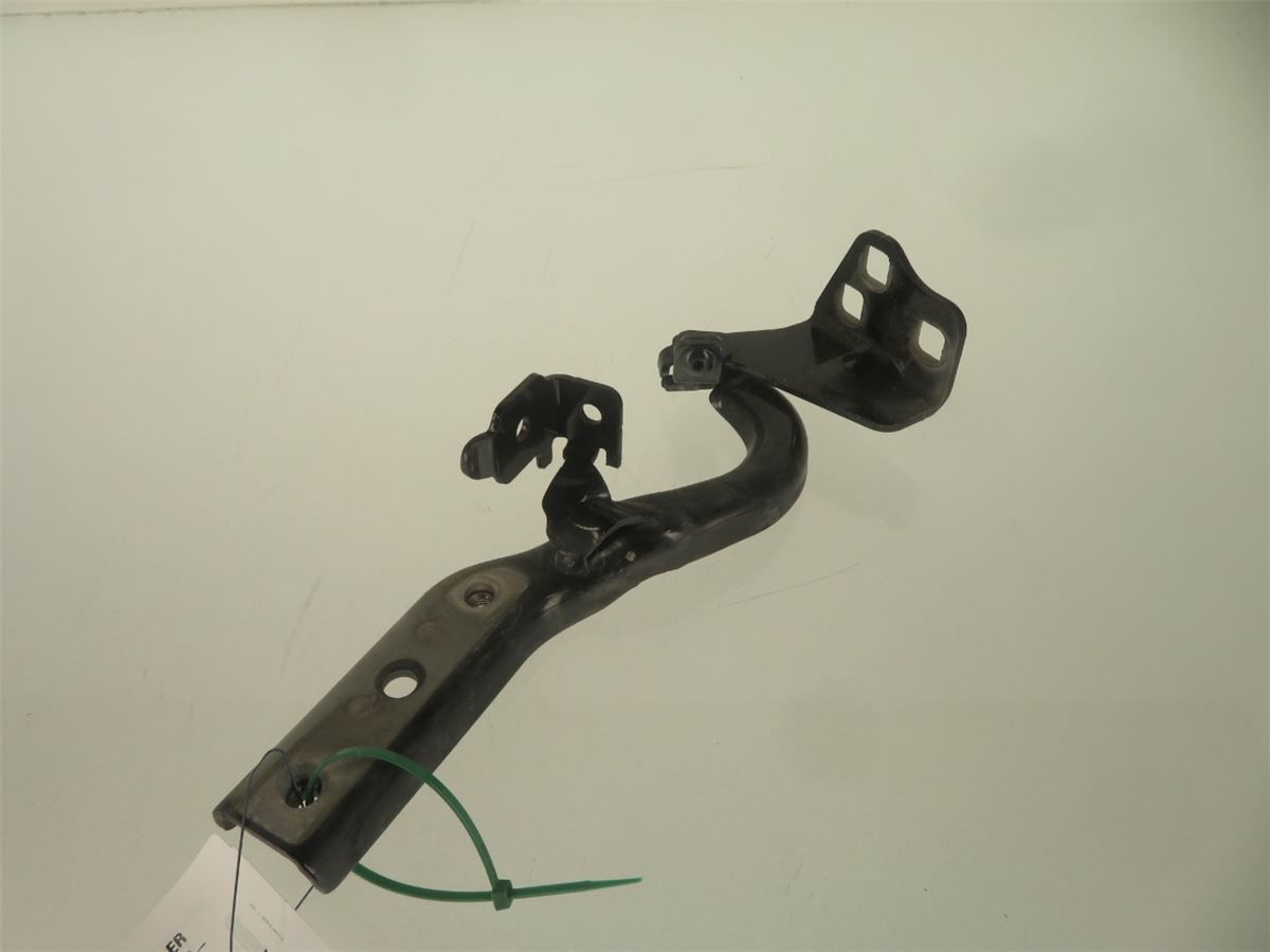 Panser Hengsel / Hengsler – bilde 1