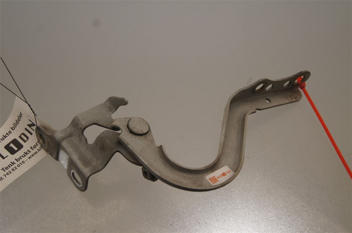 Panser Hengsel / Hengsler – bilde 1