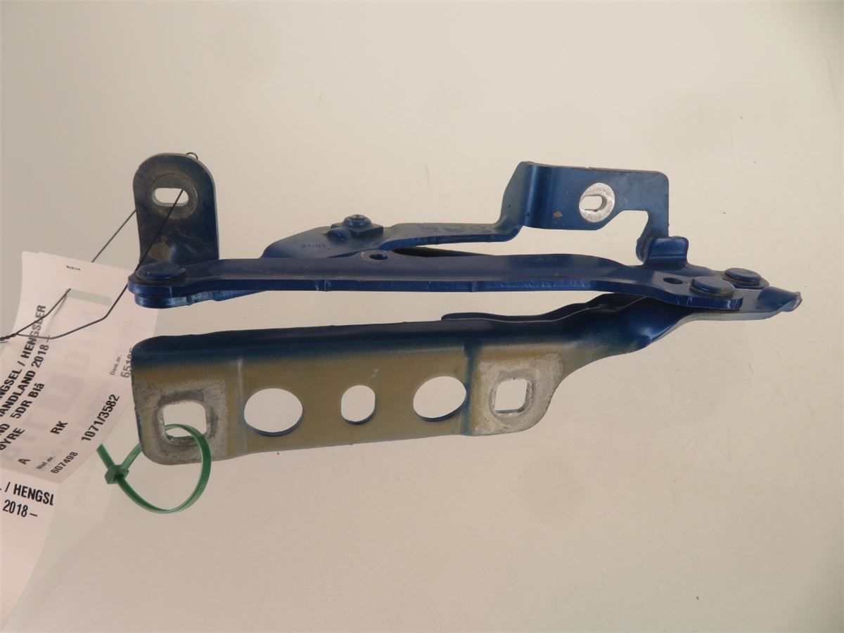 Panser Hengsel / Hengsler – bilde 1