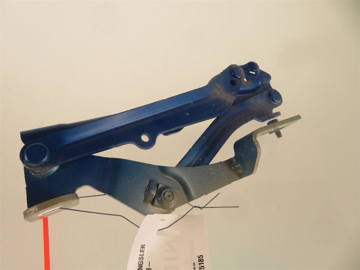 Panser Hengsel / Hengsler – bilde 1