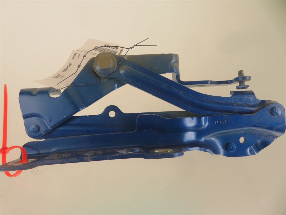 Panser Hengsel / Hengsler – bilde 3