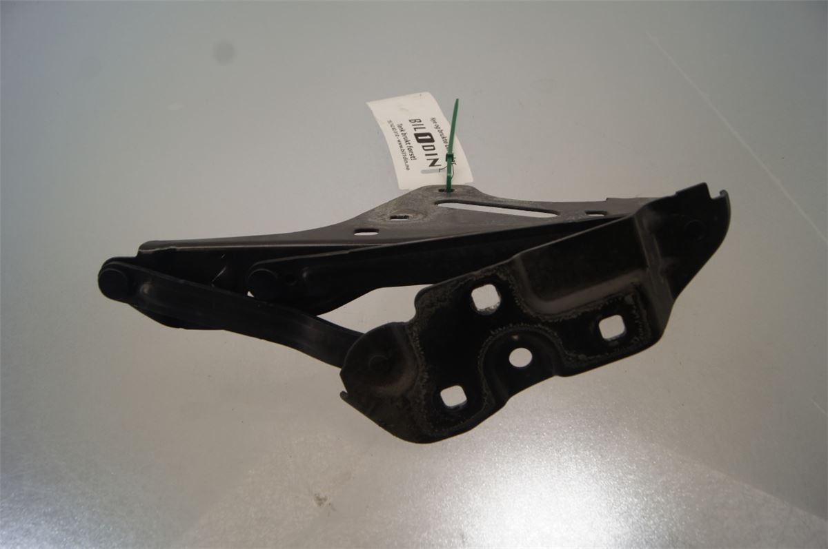 Panser Hengsel / Hengsler – bilde 2